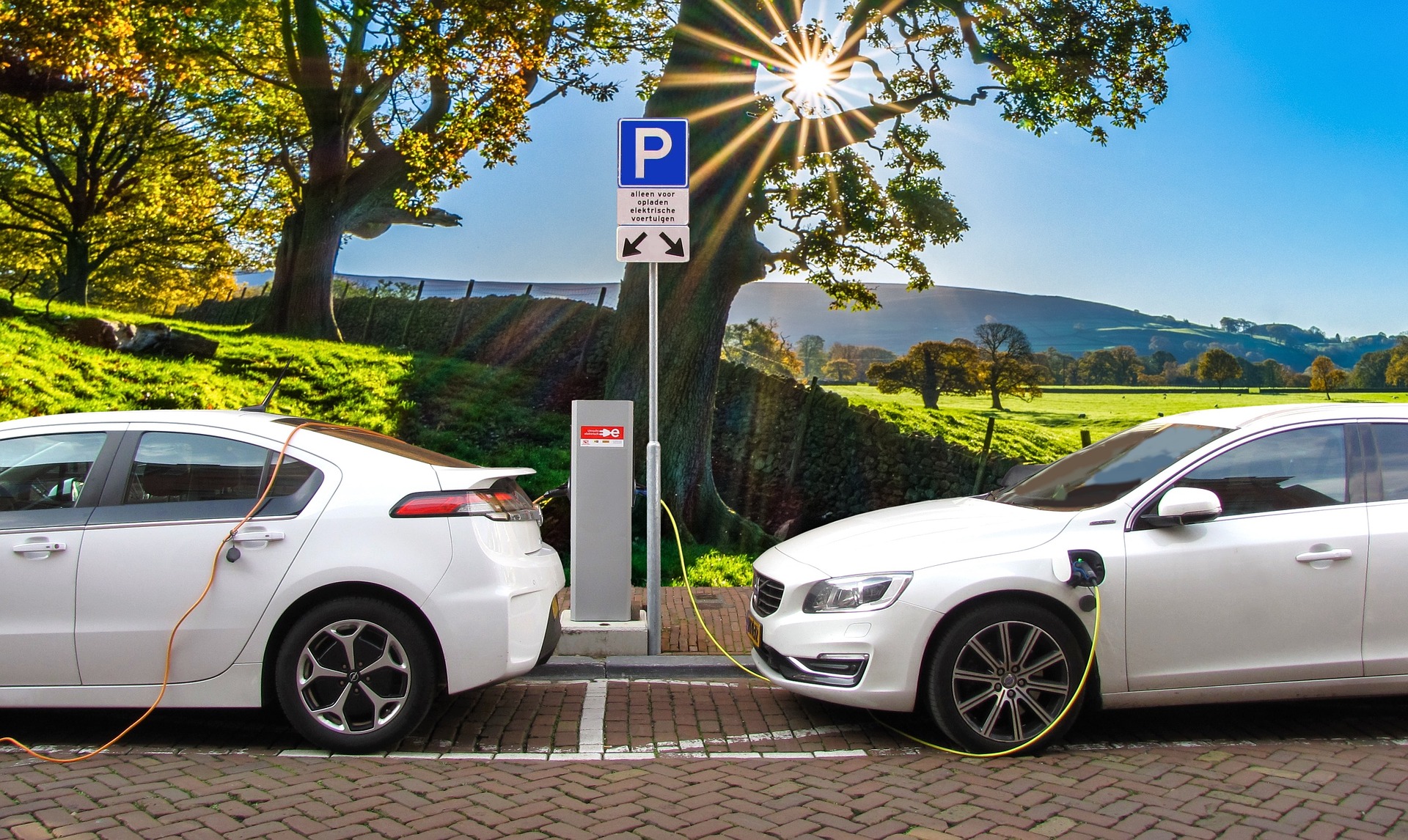 Everything You Need To Know About Electric Cars