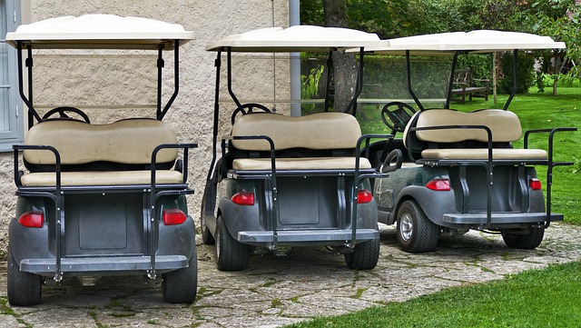 A car parked in the grass